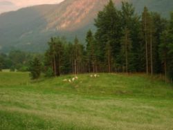 2013-06-22_Hirschhoerndl_Jochberg (580)b.JPG